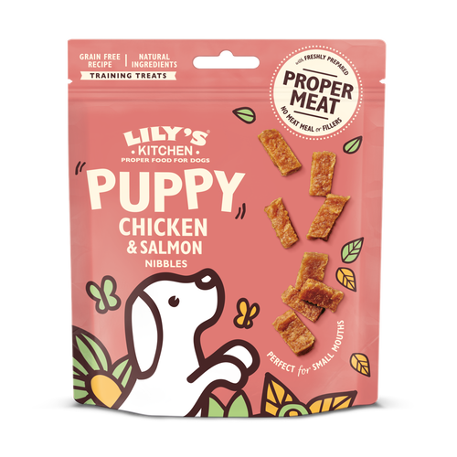 Lilys Kitchen Puppy Chicken & Salmon