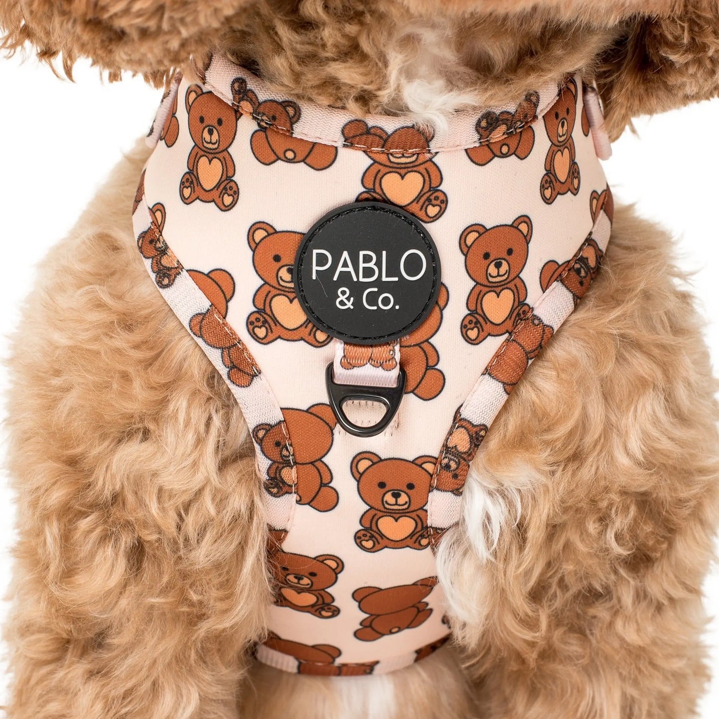 Pablo & Co Teddy Bears Picnic Adjustable Dog Harnesses