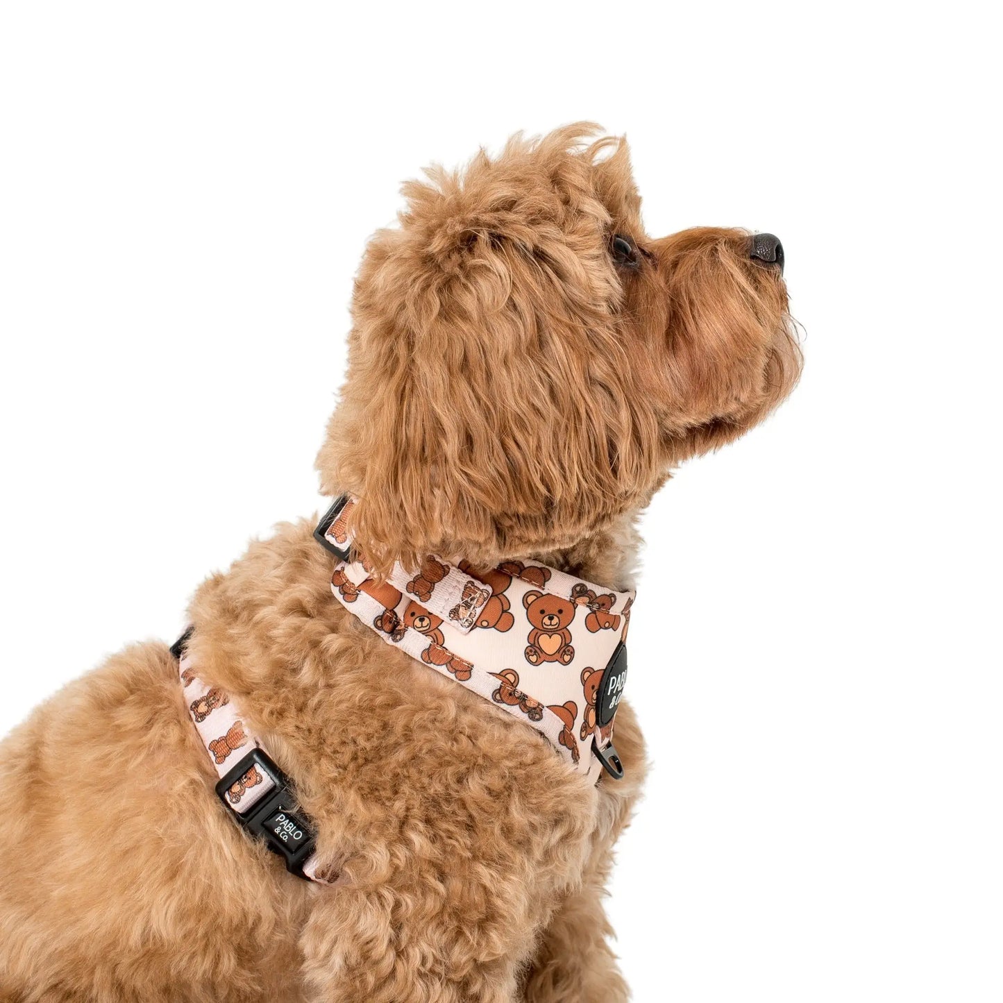 Pablo & Co Teddy Bears Picnic Adjustable Dog Harnesses